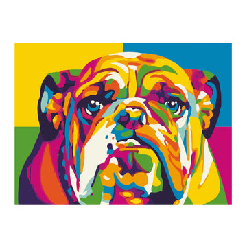 PPN Bulldog Multicolor 30x40