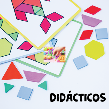 Didácticos