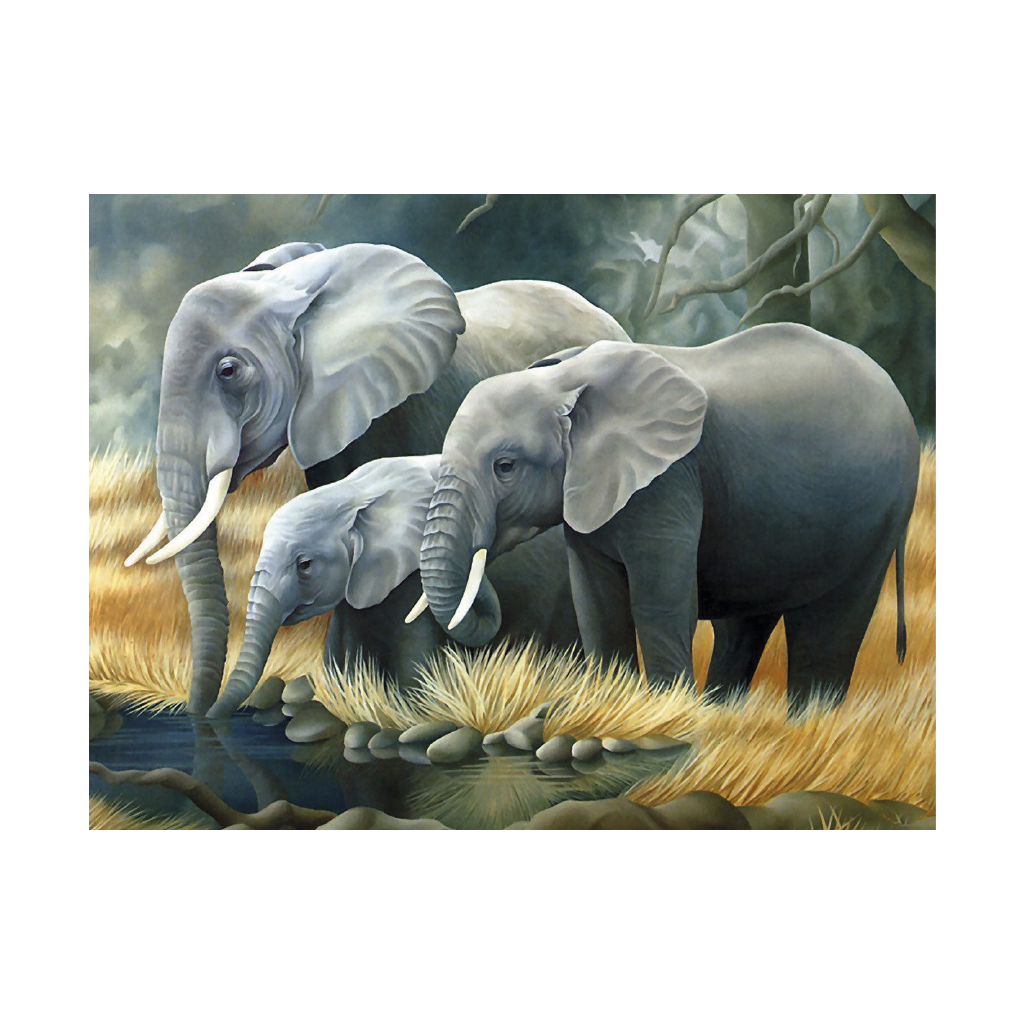 AD Familia De Elefantes